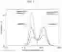 Fig. 06 - POSITIVE ELECTRODE ACTIVE MATERIAL FOR LITHIUM SECONDARY BATTERY, POSITIVE ELECTRODE FOR LITHIUM SECONDARY BATTERY, AND LITHIUM SECONDARY BATTERY