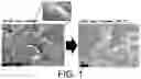 Fig. 02 - Method for manufacturing positive active material, and positive active material and lithium secondary battery using same