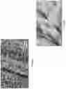 Fig. 06 - Energy storage device including a cobalt-based compound electrode