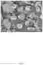 Fig. 02 - Positive electrode active material for lithium secondary battery, method of preparing the same, and positive electrode for lithium secondary battery and lithium secondary battery which include the positive electrode active material