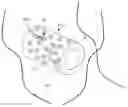 Fig. 01 - Antioxidant for electrolyte membrane of fuel cells and method for preparing the same