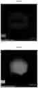 Fig. 08 - Antioxidant for electrolyte membrane of fuel cells and method for preparing the same
