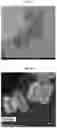 Fig. 09 - Antioxidant for electrolyte membrane of fuel cells and method for preparing the same