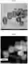 Fig. 11 - Antioxidant for electrolyte membrane of fuel cells and method for preparing the same