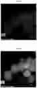Fig. 12 - Antioxidant for electrolyte membrane of fuel cells and method for preparing the same