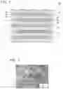 Fig. 02 - All-solid secondary battery