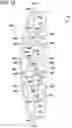 Fig. 11 - Splice member for a cable tray