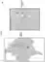 Fig. 07 - System and method for distributed, secure, power grid data collection, consensual voting analysis, and situational awareness and anomaly detection