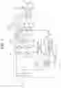 Fig. 02 - Motor driving apparatus