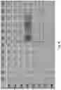 Fig. 45 - System and methods for planned evolution and obsolescence of multiuser spectrum