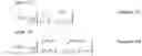 Fig. 141 - Transmission method, transmission apparatus, reception method and reception apparatus