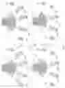 Fig. 12 - Wireless base station, and wireless communication method