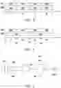 Fig. 03 - Visible light communication sensor