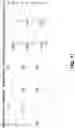 Fig. 10 - Auto-tuning reliability protocol in pub-sub RTPS systems