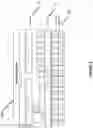Fig. 04 - Modular device and data management system and gateway for a communications network