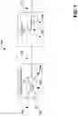 Fig. 08 - Interpolation method for polar signals in radio frequency transmitters