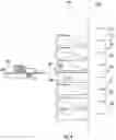 Fig. 05 - TECHNOLOGIES FOR STORAGE CLUSTER REBUILD SERVICE TRAFFIC MANAGEMENT
