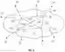 Fig. 04 - Network performance assessment without topological information