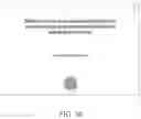Fig. 37 - User ID codes for online verification