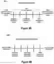 Fig. 05 - Systems and methods for cross-channel electronic communication security with dynamic targeting