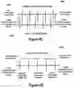 Fig. 06 - Systems and methods for cross-channel electronic communication security with dynamic targeting