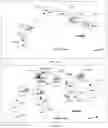 Fig. 02 - Systems and methods for video-conference network system suitable for scalable, automatable, inter-social domain, private tele-consultation service