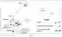 Fig. 07 - Systems and methods for video-conference network system suitable for scalable, automatable, inter-social domain, private tele-consultation service