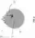 Fig. 05 - Skeleton-based effects and background replacement