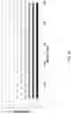 Fig. 04 - Image sensor system