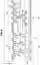 Fig. 13 - Solid-state imaging device and manufacturing method therefor