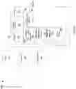 Fig. 15 - Masking video feedback loop during screen sharing
