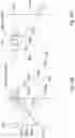 Fig. 07 - Method and device for generating and decoding spectrally encoded images
