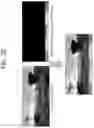Fig. 32 - METHOD AND APPARATUS FOR OVERLAY PROCESSING IN 360 VIDEO SYSTEM