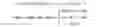 Fig. 05 - Spatio-temporal denoising of video content based on confidence indexes
