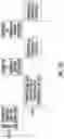 Fig. 17 - Encoding and decoding selectively retrievable representations of video content
