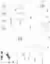 Fig. 19 - Method and apparatus for video coding