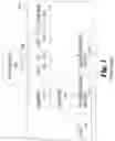 Fig. 02 - Networking modules for display systems
