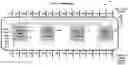 Fig. 01 - Data center network having optical permutors