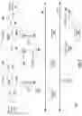 Fig. 09 - Localization in machine-to-machine systems