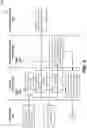 Fig. 05 - Multicast handover for mobile communications