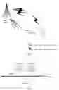 Fig. 02 - Link re-establishment method and device