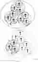 Fig. 04 - MULTI-CELL NOTIFICATION ZONE SINGLE FREQUENCY NETWORK PAGING AND MOBILITY