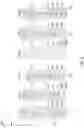 Fig. 10 - System and methods for phased reconfiguration in wireless systems