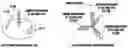 Fig. 01 - Method and device for performing paging in mobile communication system