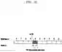 Fig. 06 - Method and device for performing paging in mobile communication system