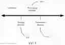 Fig. 06 - Signal transmission method and apparatus