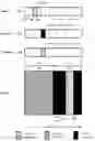 Fig. 01 - UPLINK PUNCTURING OF MINI-SLOT ON SLOT TRANSMISSIONS