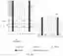 Fig. 33 - SIGNAL TRANSMISSION METHOD, APPARATUS, AND SYSTEM