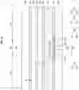 Fig. 11 - Display device