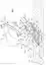 Fig. 07 - Agricultural seeder implement including seed boot with ramped seed-conveying channel
